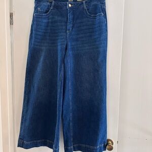 Anthropologie Deep Blue Wide Leg Jeans